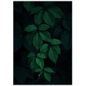 Постер "Green leaves"