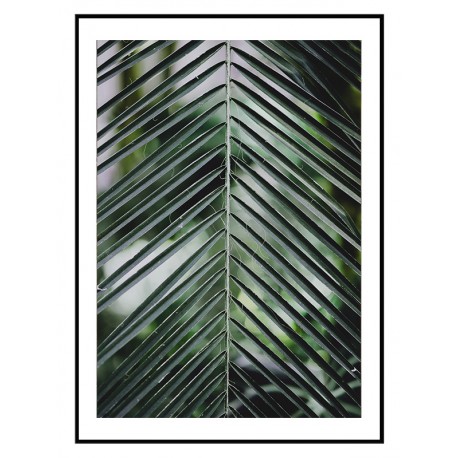 Постер "Palm leaves"