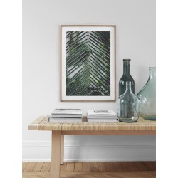 Постер "Palm leaves"