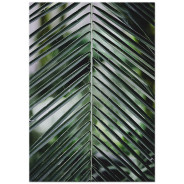 Постер "Palm leaves"