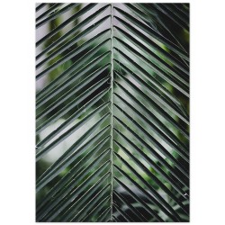 Постер "Palm leaves"