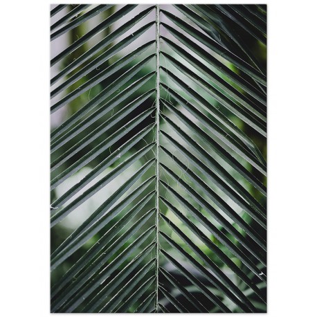 Постер "Palm leaves"