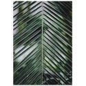 Постер "Palm leaves"