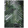 Постер "Palm leaves"