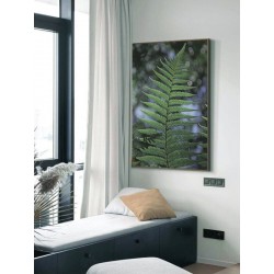 Постер "Папороть"