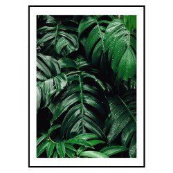 Постер "Monstera"