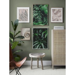 Постер "Monstera"