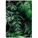 Постер "Monstera"
