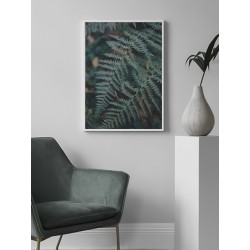 Постер "Папороть"