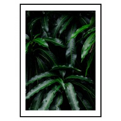 Постер "Манго індійське"