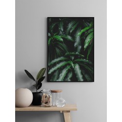 Постер "Манго індійське"