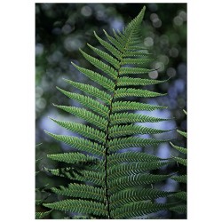 Комплект постерів "Звільни свій розум"