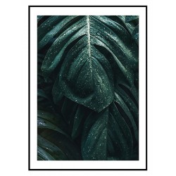 Комплект постерів в рамках "A tropical forest"