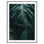 Комплект постеров в рамках "A tropical forest"