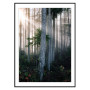 Комплект постеров в рамках "A tropical forest"