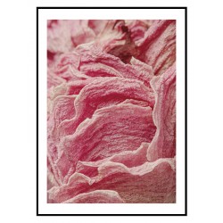 Комплект постеров в рамках "Petal"