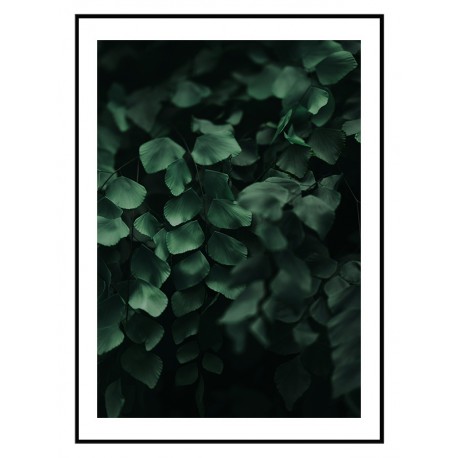Комплект постеров в рамках "Petal"