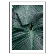 Постер "Green leaves"