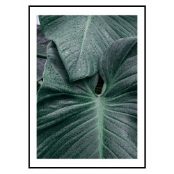 Постер "Green leaves"
