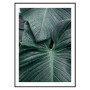 Постер "Green leaves"