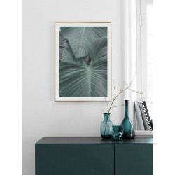 Постер "Green leaves"