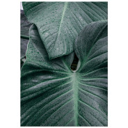 Постер "Green leaves"