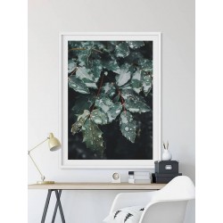 Постер "Magonia"