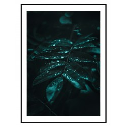 Постер "Green leaves"
