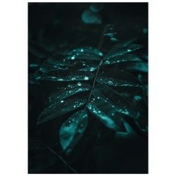Постер "Green leaves"