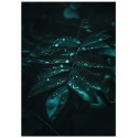 Постер "Green leaves"