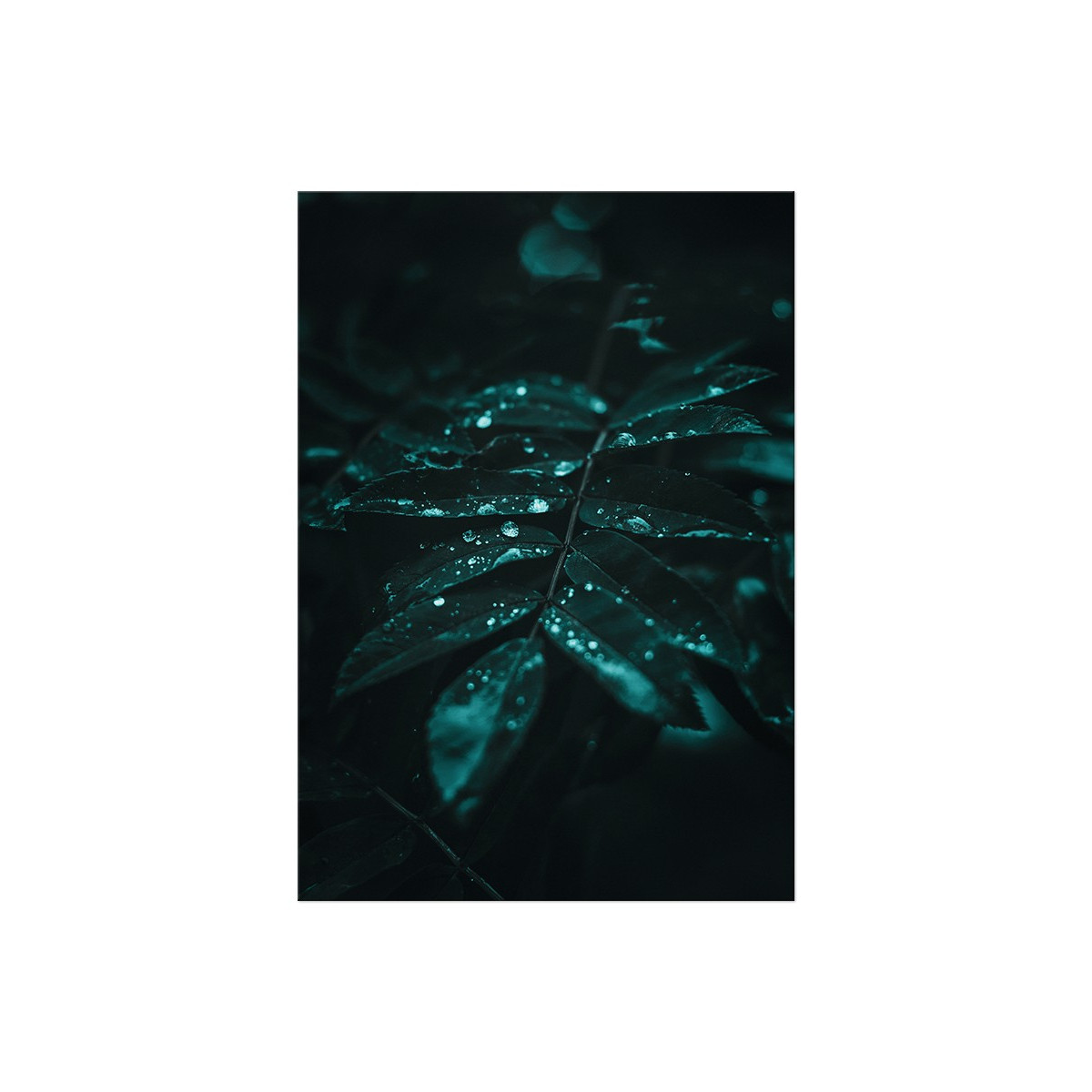 Постер "Green leaves"