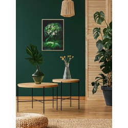 Постер "Гортензія"