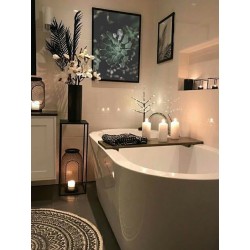 Постер "Echeveria"