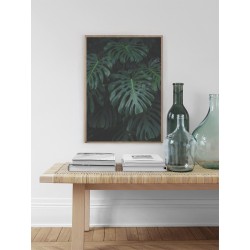 Постер "Monstera"