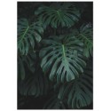 Постер "Monstera"