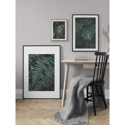 Постер "Monstera"