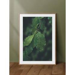 Постер "Green leaves"