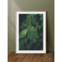 Постер "Green leaves"