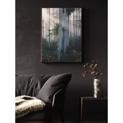 Постер "Утренний лес"