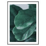 Постер "Fiddle Leaf"