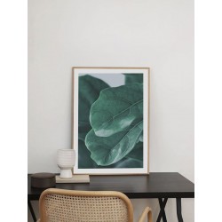 Постер "Fiddle Leaf"