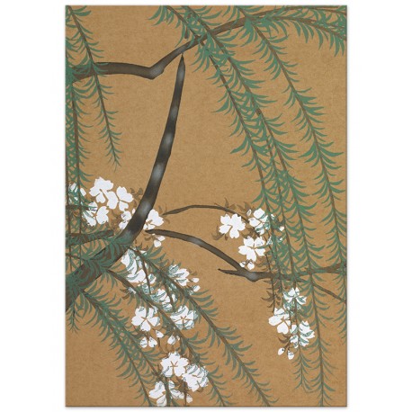 Постер "Blossom from Momoyogusa. Kamisaka Sekka. 1909"
