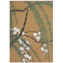 Постер "Blossom from Momoyogusa. Kamisaka Sekka. 1909"