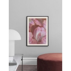 Постер "Parrot tulips"