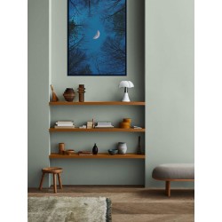 Постер "Ліс та місяць"