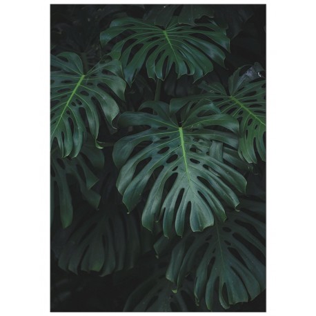 Комплект постеров "Foliage"