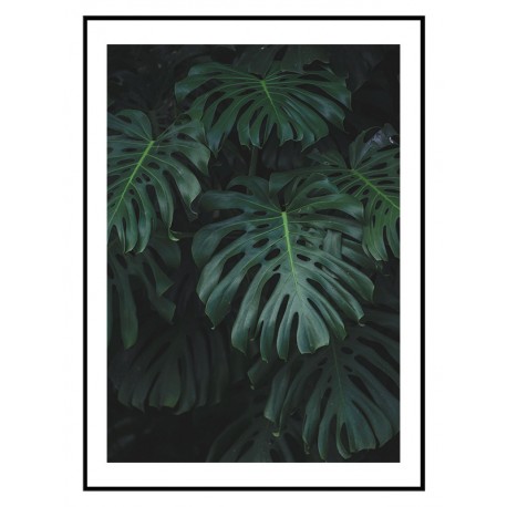 Комплект постеров в рамках "Foliage"