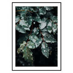 Комплект постеров в рамках "Leaf"