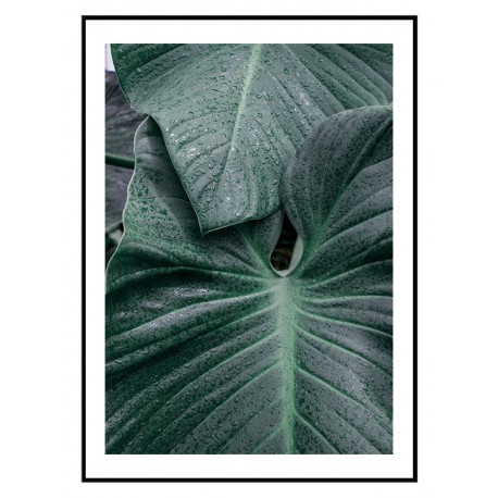 Комплект постеров в рамках "Leaf"