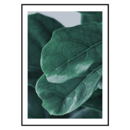 Комплект постеров в рамках "Leaf"